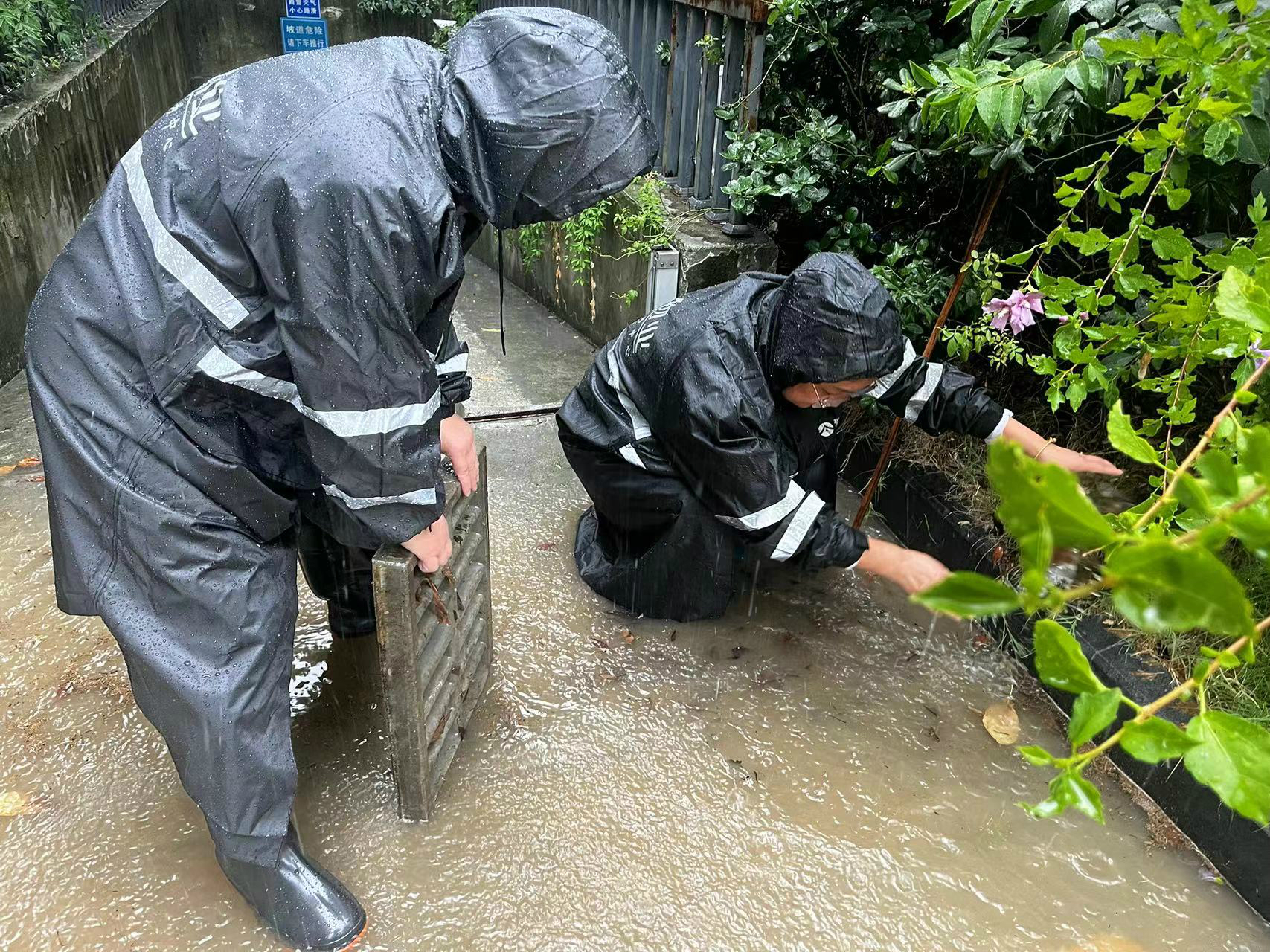 6a4d066c9648d75c642ac9d033c2dc9